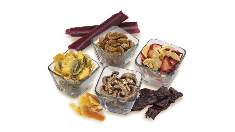 Recommended Food Dehydrators for Jerky
