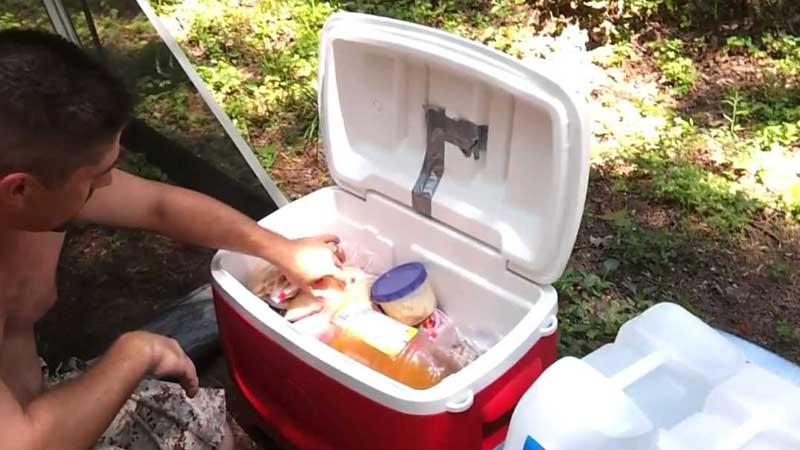 Recommended Wheeled Coolers