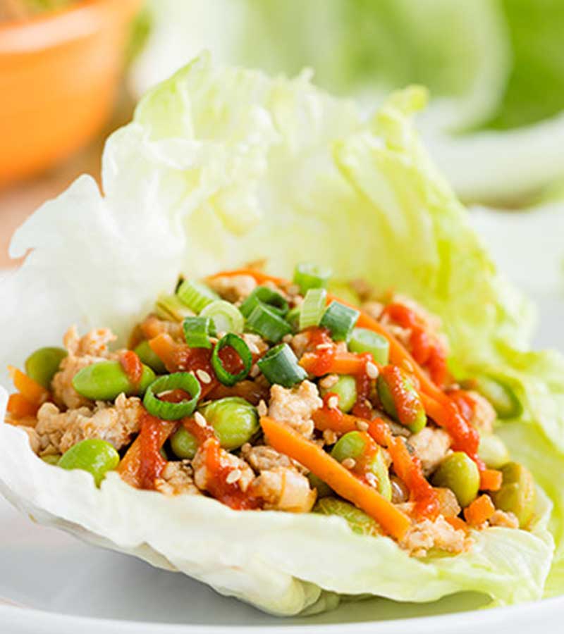Asian Turkey Lettuce Wraps