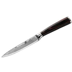 zhen japanese vg 10 67 layers damascus steel