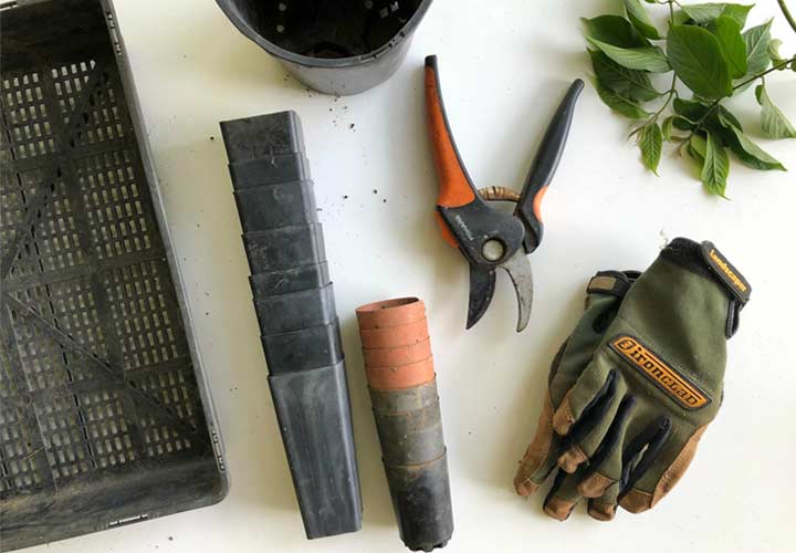 basic gardening tools