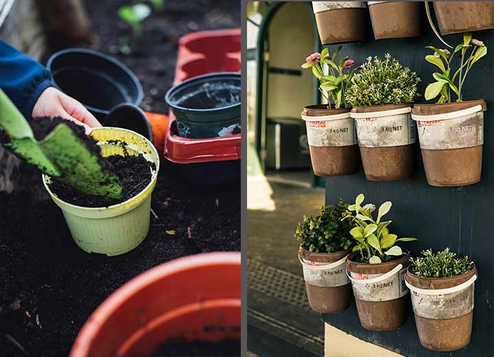 outdoor gardens