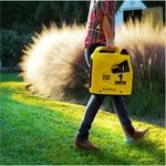 champion power equipment generator