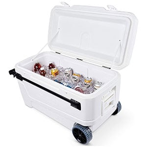 igloo glide pro roller (ea)